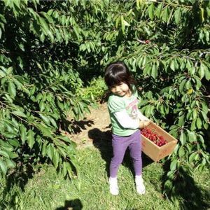 Meet your Posher, Sofia